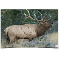 Birchwood Eze Scorer Elk Target 23"x35" 2 pk